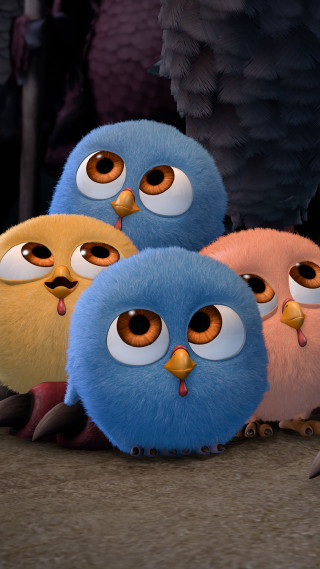 Blue yellow birds big eyes - bird free wallpaper
