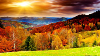 Mountain range trees sunset sunbeam 2 - the foreground and a sunset in the background free wallpaper