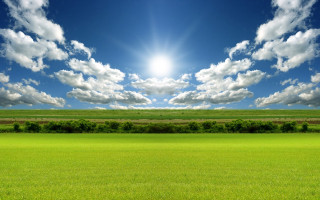 Sunlit field grass trees blue - a field of grass below free wallpaper