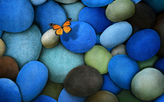 Butterfly rock blue green pebbles 7 - butterfly free wallpaper