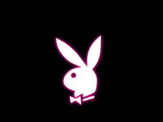 Rabbit bowtie dark neon pink 2 - wallpaper free wallpaper