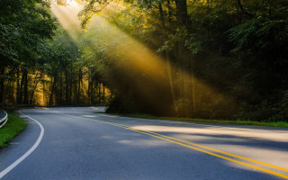 Road light trees sign shining - a road free wallpaper