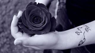 Person holding flower tattoo arm - a person holding free wallpaper