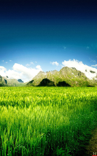 Dirt road green field mountains 3 - a green field free wallpaper