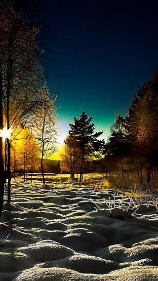 Snowy field trees bench night - the sun free wallpaper