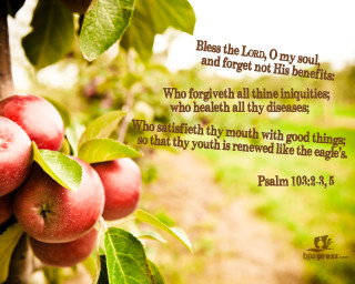 Tree fruit bible verse lord - a bible verse free wallpaper