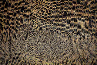 Close up textured surface green - alberto burri free wallpaper