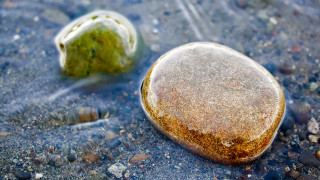 Rock seaweed beach water sand 2 - photorealistic imagery free wallpaper for desktop