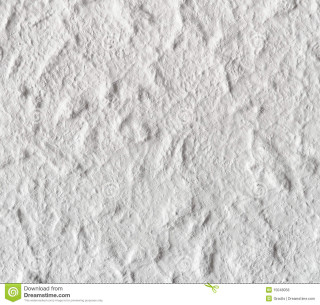 White wall small holes green - a green plant free wallpaper