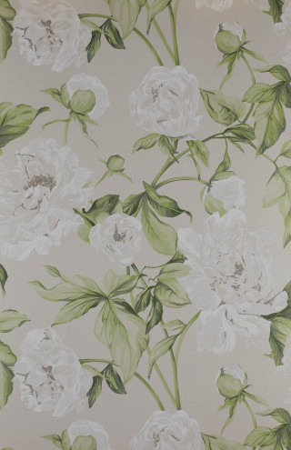 Flower pattern green leaves wallpaper - green leaf free wallpaper