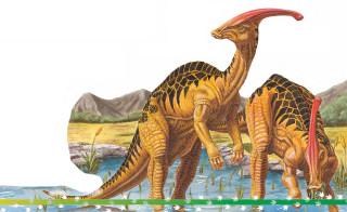Dinosaurs pond bird head neck - a pond of water free wallpaper
