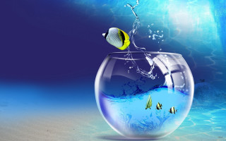 Fish jumping bowl water swimming - surrealism free wallpaper