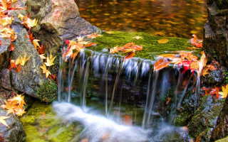Waterfall fall leaves stream woods - a stream free wallpaper