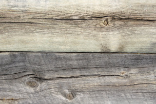 Wooden wall bird back end - andries stock free wallpaper