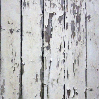 White peeling wooden wall black - a black bird free wallpaper