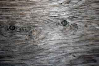 Wood closeup grainy texture circles - abstract expressionism free wallpaper