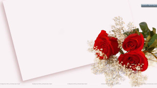 Red roses bouquet white paper 2 - a bouquet free wallpaper