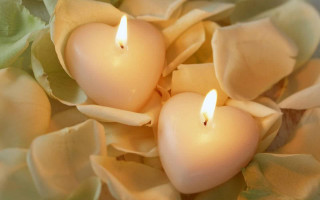 Candles bowl flowers leaves tablecloth - a tablecloth free wallpaper