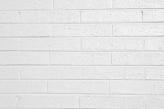 White brick wall cat minimalist - a white brick wall free wallpaper