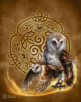 Owls branch celtic design gold - fantasy art free wallpaper