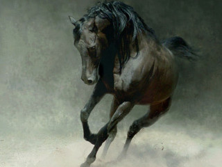 Horse running dust front legs 2 - a digital painting free wallpaper