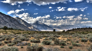 Mountain range clouds foreground bushes - a few bush free wallpaper