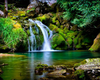 Waterfall forest mossy rocks trees 20 - mossy rock and trees free wallpaper