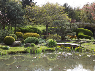 Pond trees bushes bridge middle - de hirsh margule free wallpaper