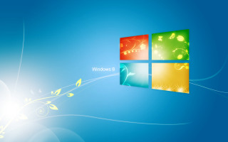 Blue wall window leaf background - a blue wall free wallpaper