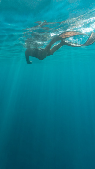 Swimming ocean person long tail - holography free wallpaper