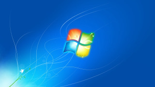 Blue window bird flying sky - a white bird free wallpaper for desktop
