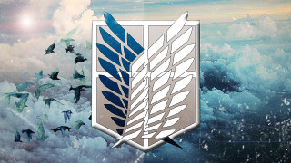 White blue logo birds sky - cloud and birds free wallpaper