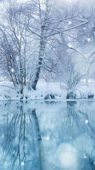 Snowy pond trees winter impressionism - impressionist free wallpaper
