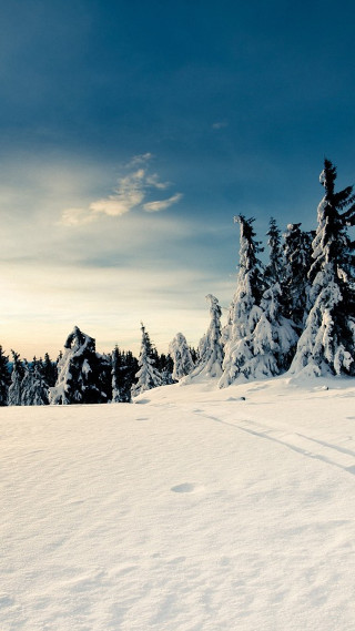 Skiing snowy trees clouds person - near free wallpaper
