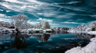 River trees cloudy sky nature - a bunch of trees free wallpaper