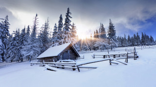 Cabin snowy field trees sunshine - boleslaw cybi free wallpaper