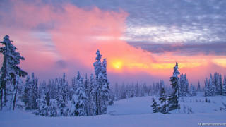 Sunset snowy trees cityscape mountain - carl critchlow free wallpaper