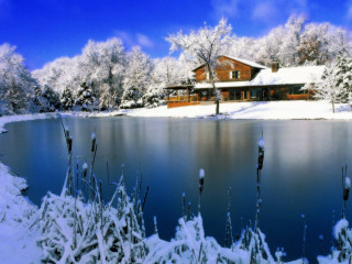 House snow trees lake large 2 - a house free wallpaper