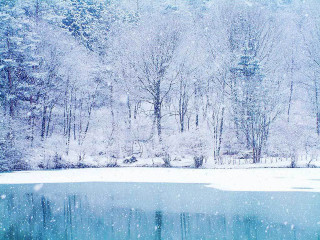 Snowy scene lake trees snowfall - a bench in the foreground free wallpaper