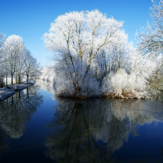 River trees blue sky clouds 2 - a bunch of trees free wallpaper