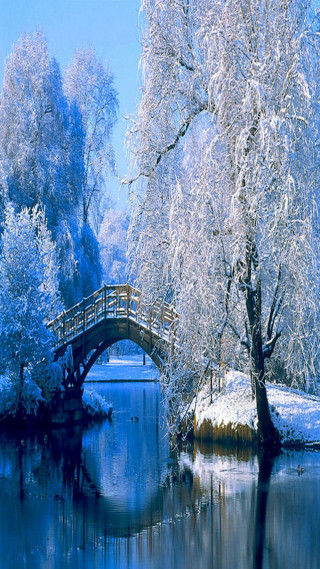 Bridge river snow covered tree 4 - impressionist free wallpaper