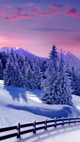 Snowy landscape fence trees pink - beautiful landscape free wallpaper