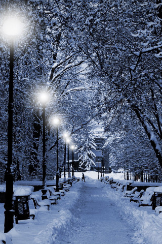 Snowy path bench streetlight clocktower - free winter wallpaper