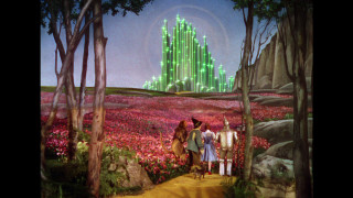 Wizard castle flowers trees yellow - flower and trees free wallpaper