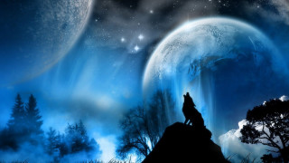 Wolf hill moon stars sky 5 - full moon free wallpaper