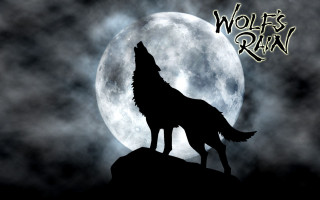Wolf standing hill full moon - full moon free wallpaper