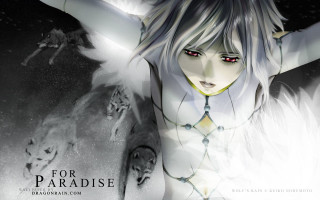 White hair red eyes wolf - gothic art free wallpaper for desktop