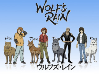 People dogs cats group blue - them in front free wallpaper