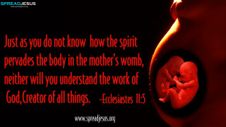Fetus quote spirit body mother - radiant free wallpaper