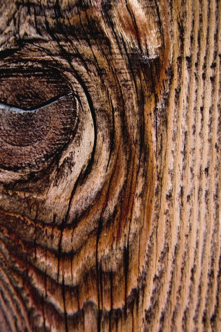 Wood texture closeup circular hole - cornelia parker free wallpaper